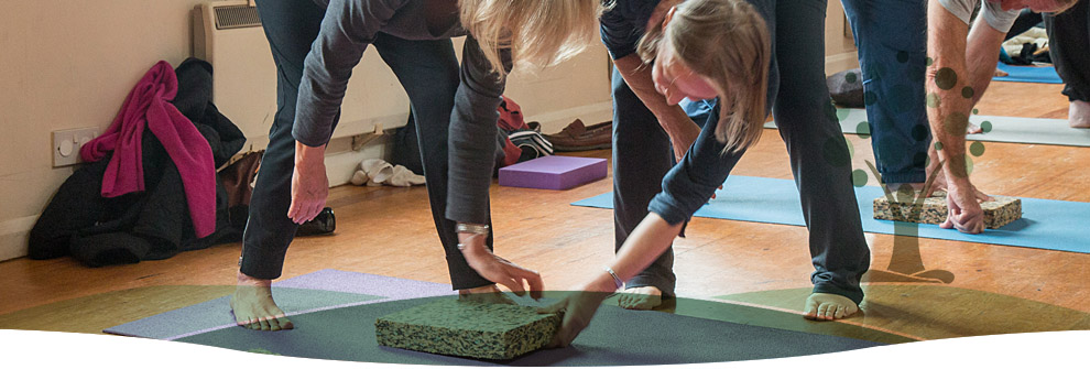 Students in standing forward folds on mats