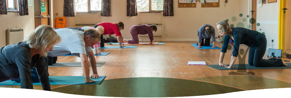 A row of students in downward dog on the hall floor